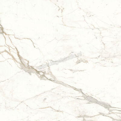  Atlas Concorde Marvel Shine Calacatta Prestigio 120x120 cm Vloertegel / Wandtegel Mat Vlak Sensitech A4Q5 | 420859