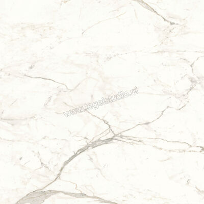  Atlas Concorde Marvel Shine Calacatta Prestigio 120x120 cm Vloertegel / Wandtegel Mat Vlak Sensitech A4Q5 | 420862