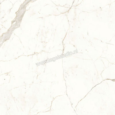  Atlas Concorde Marvel Shine Calacatta Prestigio 120x120 cm Vloertegel / Wandtegel Mat Vlak Sensitech A4Q5 | 420865