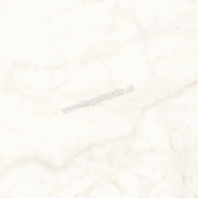  Atlas Concorde Marvel Shine Calacatta Delicato 120x120 cm Vloertegel / Wandtegel Mat Vlak Sensitech A4Q4 | 420868