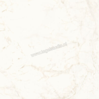  Atlas Concorde Marvel Shine Calacatta Delicato 120x120 cm Vloertegel / Wandtegel Mat Vlak Sensitech A4Q4 | 420871