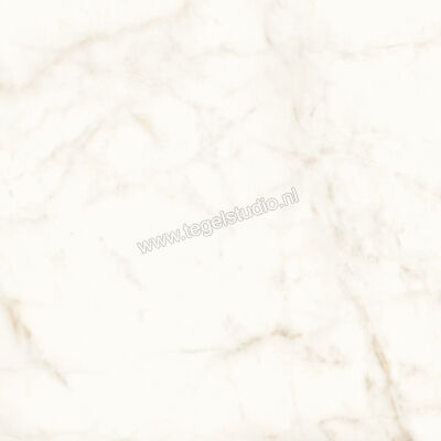 Atlas Concorde Marvel Shine Calacatta Delicato 120x120 cm Vloertegel / Wandtegel Mat Vlak Sensitech A4Q4 | 420874