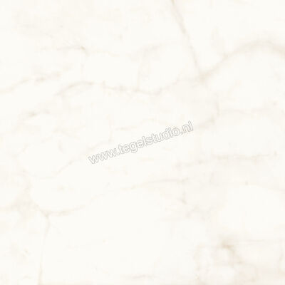  Atlas Concorde Marvel Shine Calacatta Delicato 120x120 cm Vloertegel / Wandtegel Mat Vlak Sensitech A4Q4 | 420877