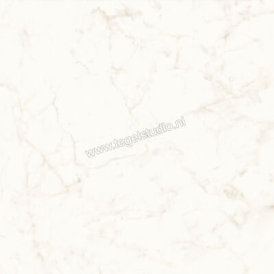  Atlas Concorde Marvel Shine Calacatta Delicato 120x120 cm Vloertegel / Wandtegel Mat Vlak Sensitech A4Q4 | 420880