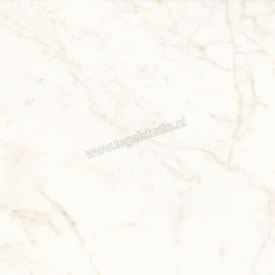  Atlas Concorde Marvel Shine Calacatta Delicato 120x120 cm Vloertegel / Wandtegel Mat Vlak Sensitech A4Q4 | 420883