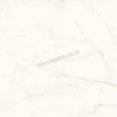  Atlas Concorde Marvel Shine Calacatta Delicato 120x120 cm Vloertegel / Wandtegel Mat Vlak Sensitech A4Q4 | 420886