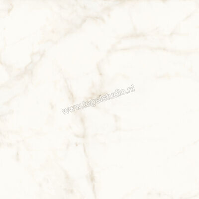  Atlas Concorde Marvel Shine Calacatta Delicato 120x120 cm Vloertegel / Wandtegel Mat Vlak Sensitech A4Q4 | 420889