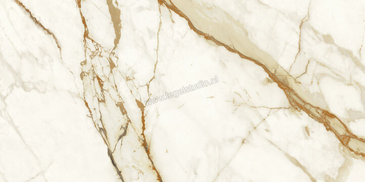  Atlas Concorde Marvel Shine Calacatta Imperiale 60x120 cm Vloertegel / Wandtegel Glanzend Vlak Lappato A4Q3 | 420892