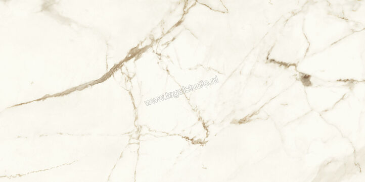  Atlas Concorde Marvel Shine Calacatta Imperiale 60x120 cm Vloertegel / Wandtegel Glanzend Vlak Lappato A4Q3 | 420895