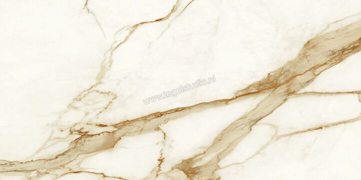  Atlas Concorde Marvel Shine Calacatta Imperiale 60x120 cm Vloertegel / Wandtegel Glanzend Vlak Lappato A4Q3 | 420898