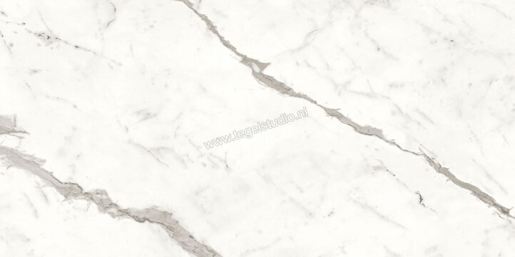  Atlas Concorde Marvel Shine Statuario Supremo 60x120 cm Vloertegel / Wandtegel Glanzend Vlak Lappato A4Q2 | 420907