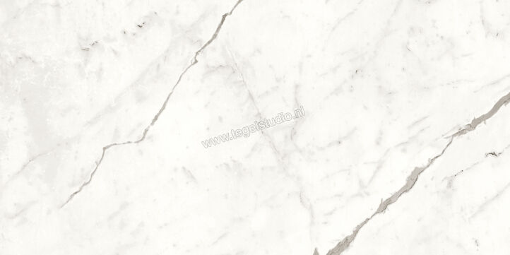  Atlas Concorde Marvel Shine Statuario Supremo 60x120 cm Vloertegel / Wandtegel Glanzend Vlak Lappato A4Q2 | 420919