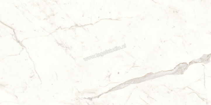  Atlas Concorde Marvel Shine Calacatta Prestigio 60x120 cm Vloertegel / Wandtegel Glanzend Vlak Lappato A4Q1 | 420931
