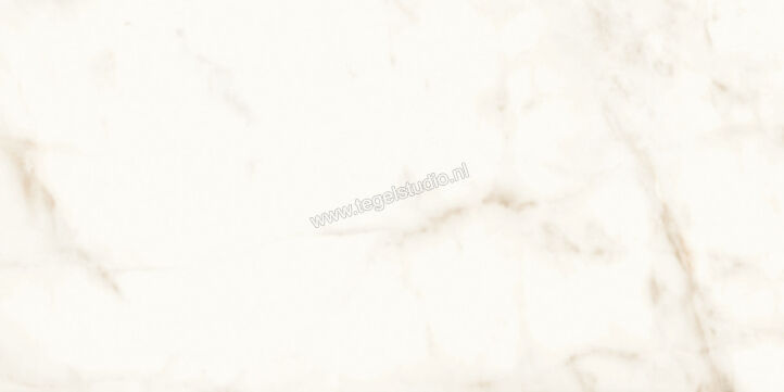 Atlas Concorde Marvel Shine Calacatta Delicato 60x120 cm Vloertegel / Wandtegel Glanzend Vlak Lappato A4Q0 | 420937