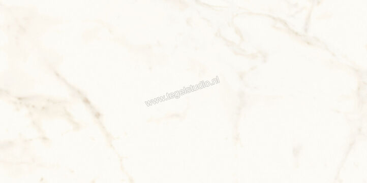  Atlas Concorde Marvel Shine Calacatta Delicato 60x120 cm Vloertegel / Wandtegel Glanzend Vlak Lappato A4Q0 | 420940
