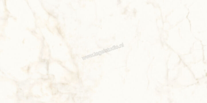  Atlas Concorde Marvel Shine Calacatta Delicato 60x120 cm Vloertegel / Wandtegel Glanzend Vlak Lappato A4Q0 | 420946