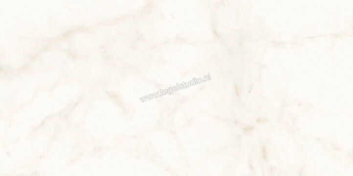  Atlas Concorde Marvel Shine Calacatta Delicato 60x120 cm Vloertegel / Wandtegel Glanzend Vlak Lappato A4Q0 | 420949