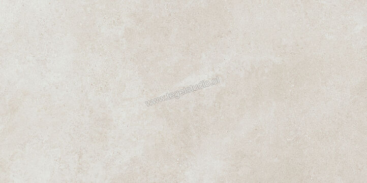Villeroy & Boch Hudson Optima White Sand 60x120 cm Vloertegel / Wandtegel Mat Vlak Vilbostoneplus 2960 SD1B 0 | 42251