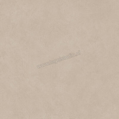  Atlas Concorde Boost Natural Ash 60x60 cm Vloertegel / Wandtegel Mat Vlak Naturale A659 | 422518