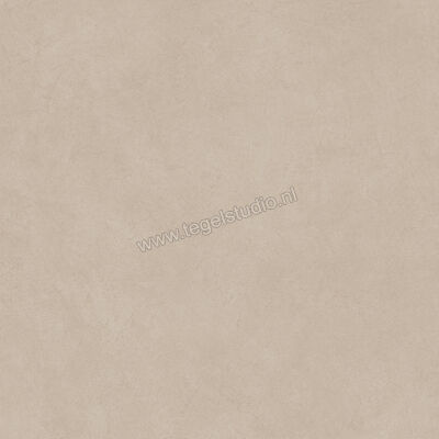  Atlas Concorde Boost Natural Ash 120x120 cm Vloertegel / Wandtegel Mat Vlak Naturale A6WT | 422521