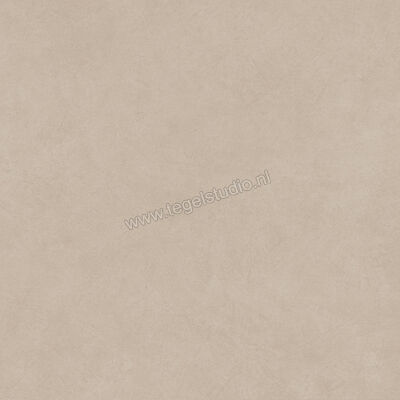  Atlas Concorde Boost Natural Ash 120x120 cm Vloertegel / Wandtegel Mat Vlak Naturale A6WT | 422527
