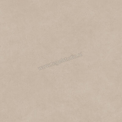  Atlas Concorde Boost Natural Ash 120x120 cm Vloertegel / Wandtegel Mat Vlak Naturale A6WT | 422530