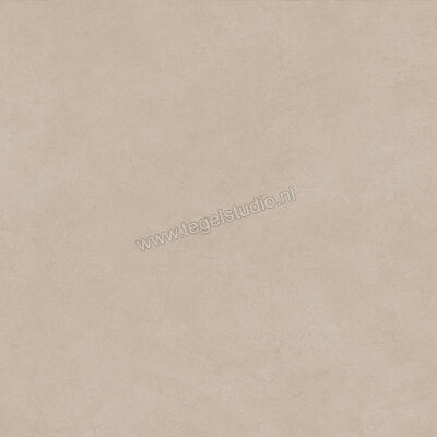  Atlas Concorde Boost Natural Ash 120x120 cm Vloertegel / Wandtegel Mat Vlak Naturale A6WT | 422533