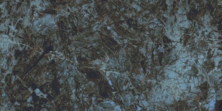  Atlas Concorde Marvel Diva Baobab 60x120 cm Vloertegel / Wandtegel Glanzend Vlak Lappato AU8B | 422686