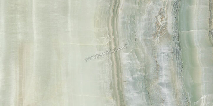  Ascot Ceramiche Venus Jade Veined 60x120 cm Vloertegel / Wandtegel Glanzend Gestructureerd 3D Honed A2VEN00291T | 424407