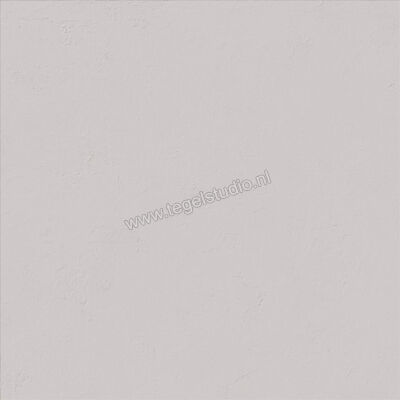  Ascot Ceramiche Pigmenta Grey 60x60 cm Vloertegel / Wandtegel Mat Vlak Naturale 02PIG00640R | 424500