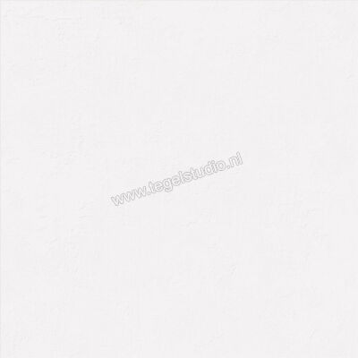  Ascot Ceramiche Pigmenta White 120x120 cm Vloertegel / Wandtegel Mat Vlak Naturale 02PIG12010R | 424509