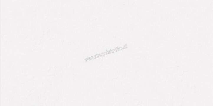  Ascot Ceramiche Pigmenta White 60x120 cm Vloertegel / Wandtegel Mat Vlak Naturale 02PIG12610R | 424536