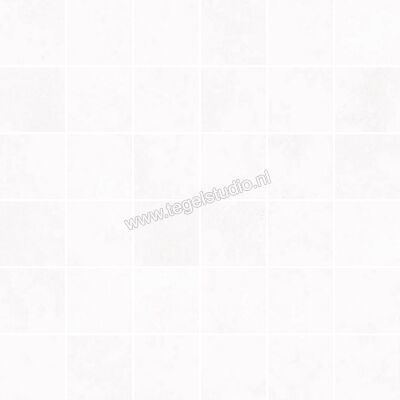  Ascot Ceramiche Pigmenta White 30x30 cm Mozaiek Mix Mat Vlak Naturale 02PIGM10 | 424563