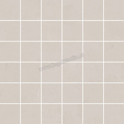  Ascot Ceramiche Pigmenta Taupe 30x30 cm Mozaiek Mix Mat Vlak Naturale 02PIGM21 | 424572