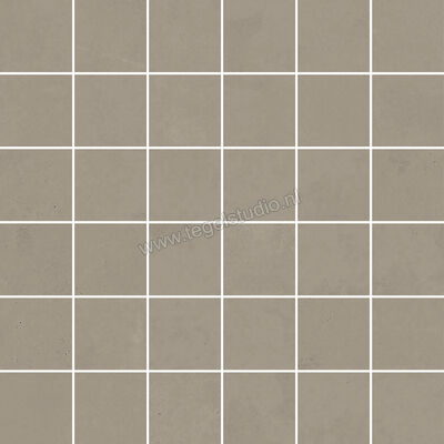  Ascot Ceramiche Pigmenta Mud 30x30 cm Mozaiek Mix Mat Vlak Naturale 02PIGM60 | 424596