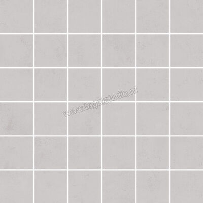  Ascot Ceramiche Pigmenta Grey 30x30 cm Mozaiek Mix Mat Vlak Naturale 02PIGM40 | 424602