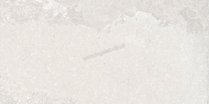 Ascot Ceramiche Signature Stone White 60x120 cm Vloertegel / Wandtegel Mat Vlak Naturale 02DSS12610R | 424664