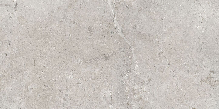  Ascot Ceramiche Signature Stone Grey 60x120 cm Vloertegel / Wandtegel Mat Vlak Naturale 02DSS12640R | 424685