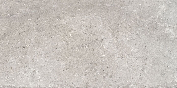  Ascot Ceramiche Signature Stone Grey 60x120 cm Vloertegel / Wandtegel Mat Vlak Naturale 02DSS12640R | 424691