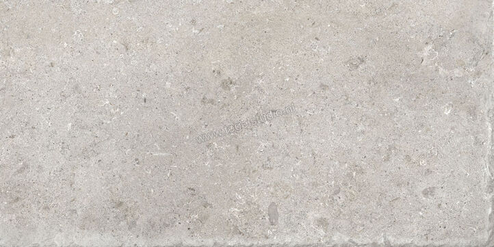  Ascot Ceramiche Signature Stone Grey 60x120 cm Vloertegel / Wandtegel Mat Vlak Naturale 02DSS12640R | 424694