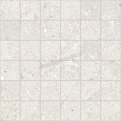 Ascot Ceramiche Signature Stone White 30x30 cm Mozaiek Mat Vlak Naturale 02DSSM10 | 424709