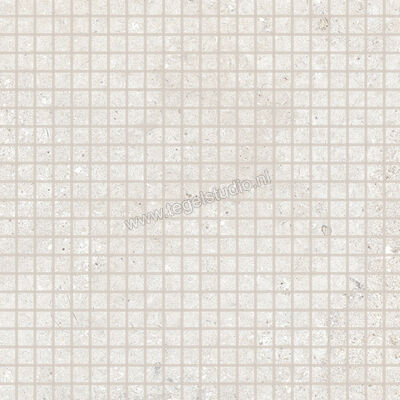  Ascot Ceramiche Signature Stone White 30x30 cm Mozaiek Mat Vlak Naturale 02DSSMA10 | 424721