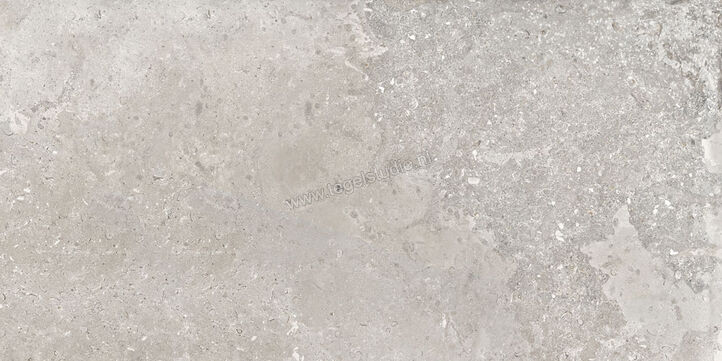 Ascot Ceramiche Signature Stone Grey 30x60 cm Vloertegel / Wandtegel Mat Vlak Naturale 02DSS340R | 424760