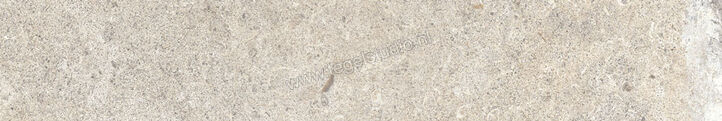  Ascot Ceramiche Signature Stone Beige 10x60 cm Vloertegel / Wandtegel Mat Vlak Naturale 02DSS1020R | 424868