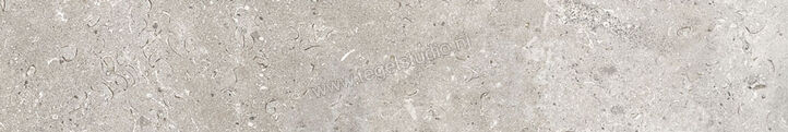  Ascot Ceramiche Signature Stone Grey 10x60 cm Vloertegel / Wandtegel Mat Vlak Naturale 02DSS1040R | 424880