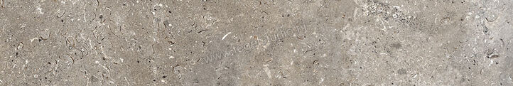  Ascot Ceramiche Signature Stone Dark 10x60 cm Vloertegel / Wandtegel Mat Vlak Naturale 02DSS1070R | 424895