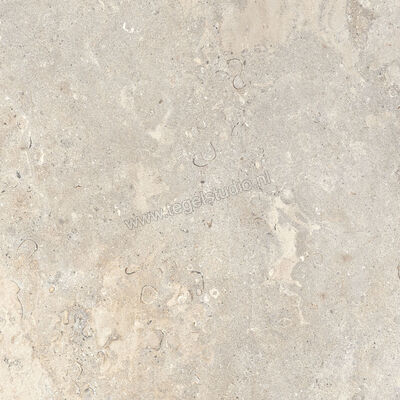 Ascot Ceramiche Signature Stone Beige 90x90 cm Vloertegel / Wandtegel Mat Vlak Naturale 02DSS9920R | 425042