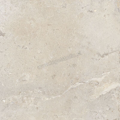  Ascot Ceramiche Signature Stone Beige 90x90x2 cm Terrastegel Mat Vlak Naturale 02DSS9922OR | 425054