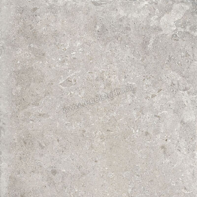  Ascot Ceramiche Signature Stone Grey 90x90x2 cm Terrastegel Mat Vlak Naturale 02DSS9944OR | 425081