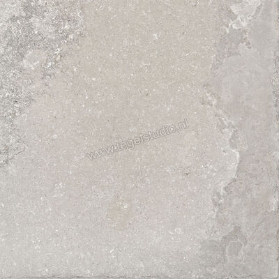  Ascot Ceramiche Signature Stone Grey 90x90x2 cm Terrastegel Mat Vlak Naturale 02DSS9944OR | 425087